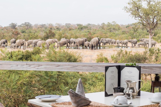 South African Safaris Simbambili Game Lodge 