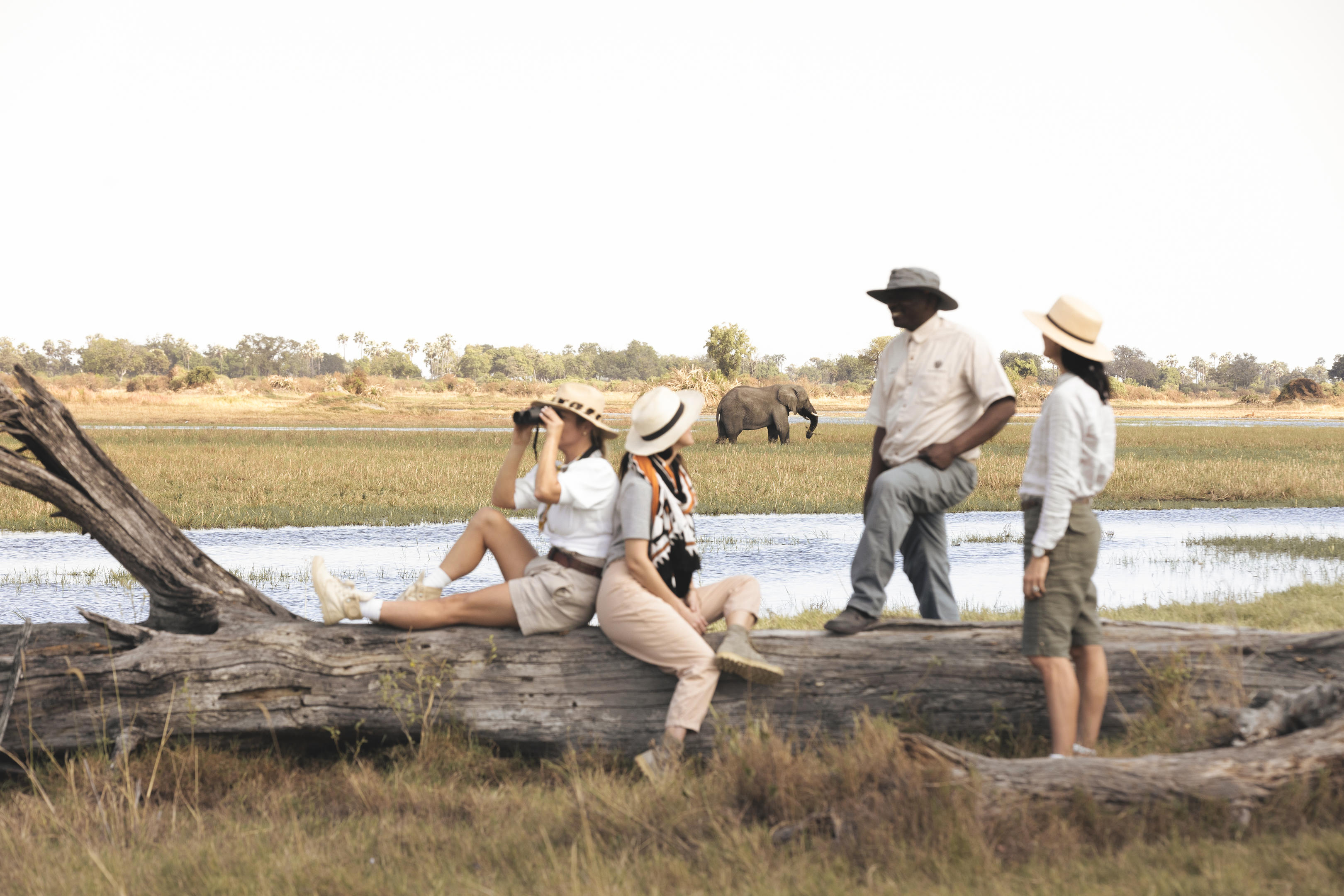 guests with guides on bushpicnic looking at elephant behind at Mombo Camp Wilderness Okavango Delta