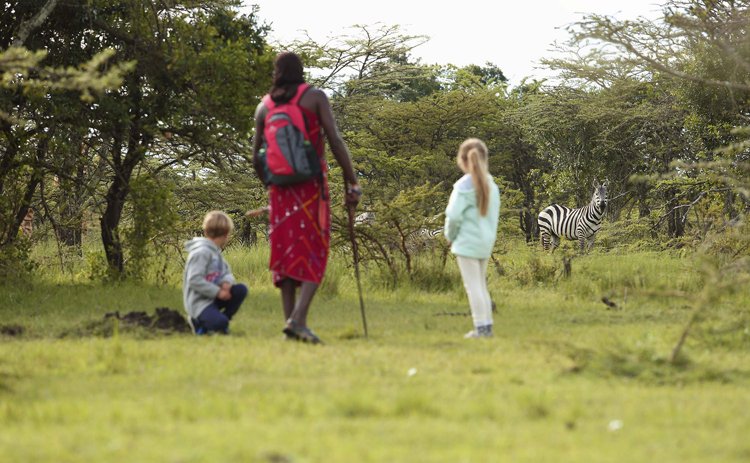 Masai man on walking safari with kids at at Angama Mara Kenya Masai Mara