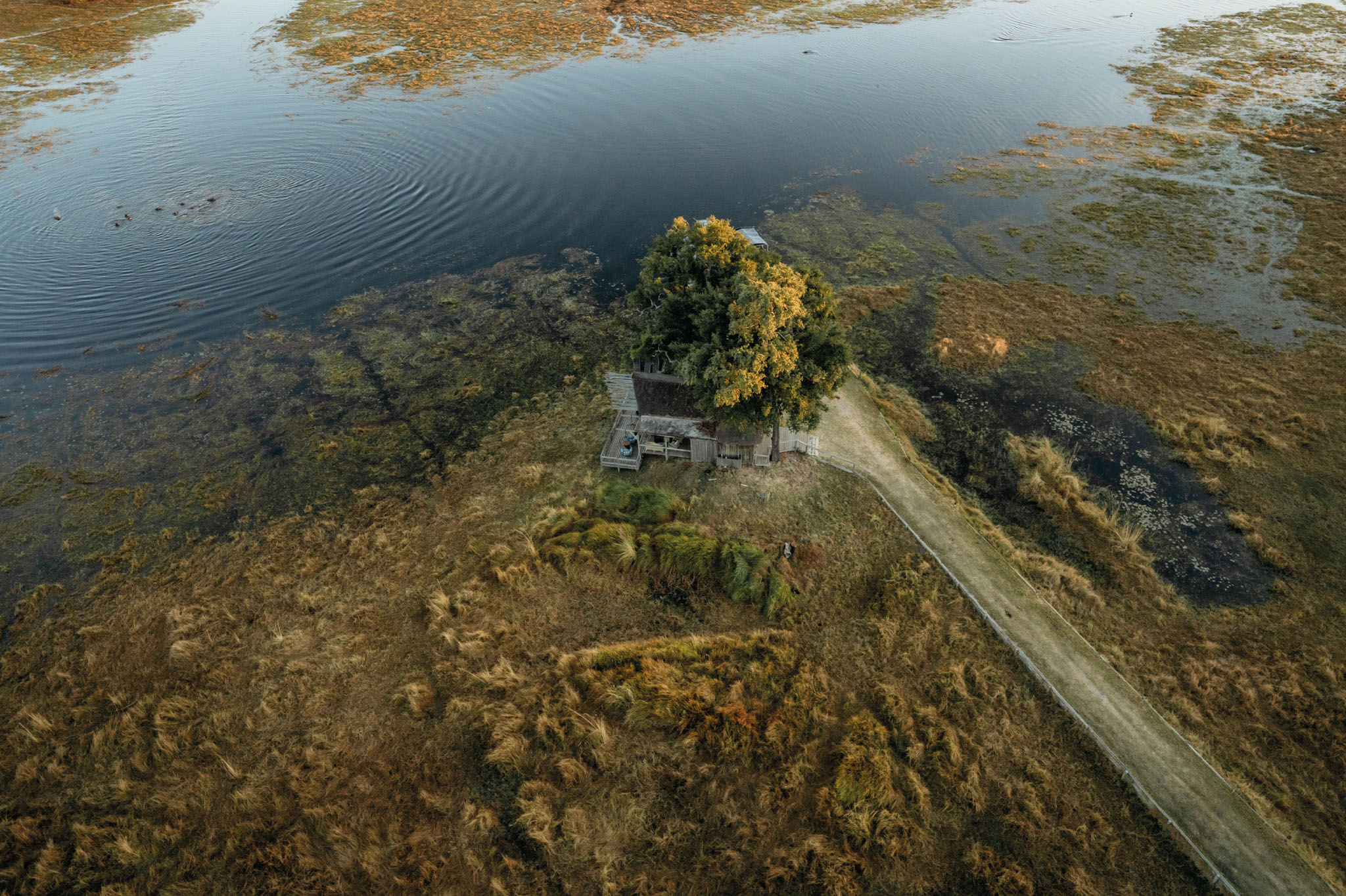 aerial view of a suite at eagle island lodge okavango delta