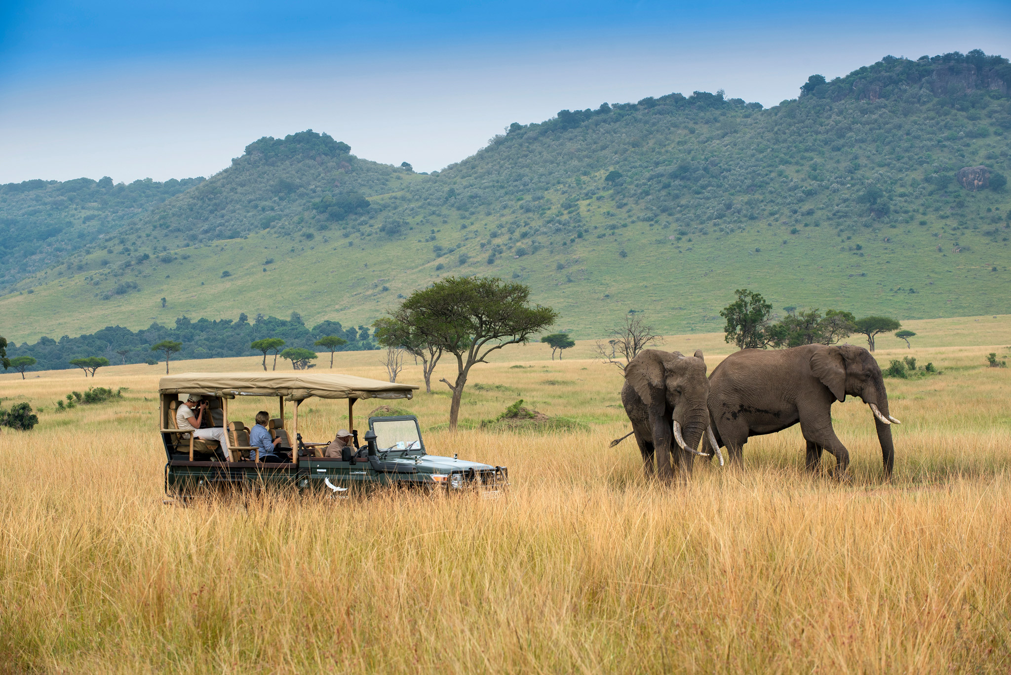 elephants near safari vehicle of andbeyond Bateleur camp Kenya Masai Mara