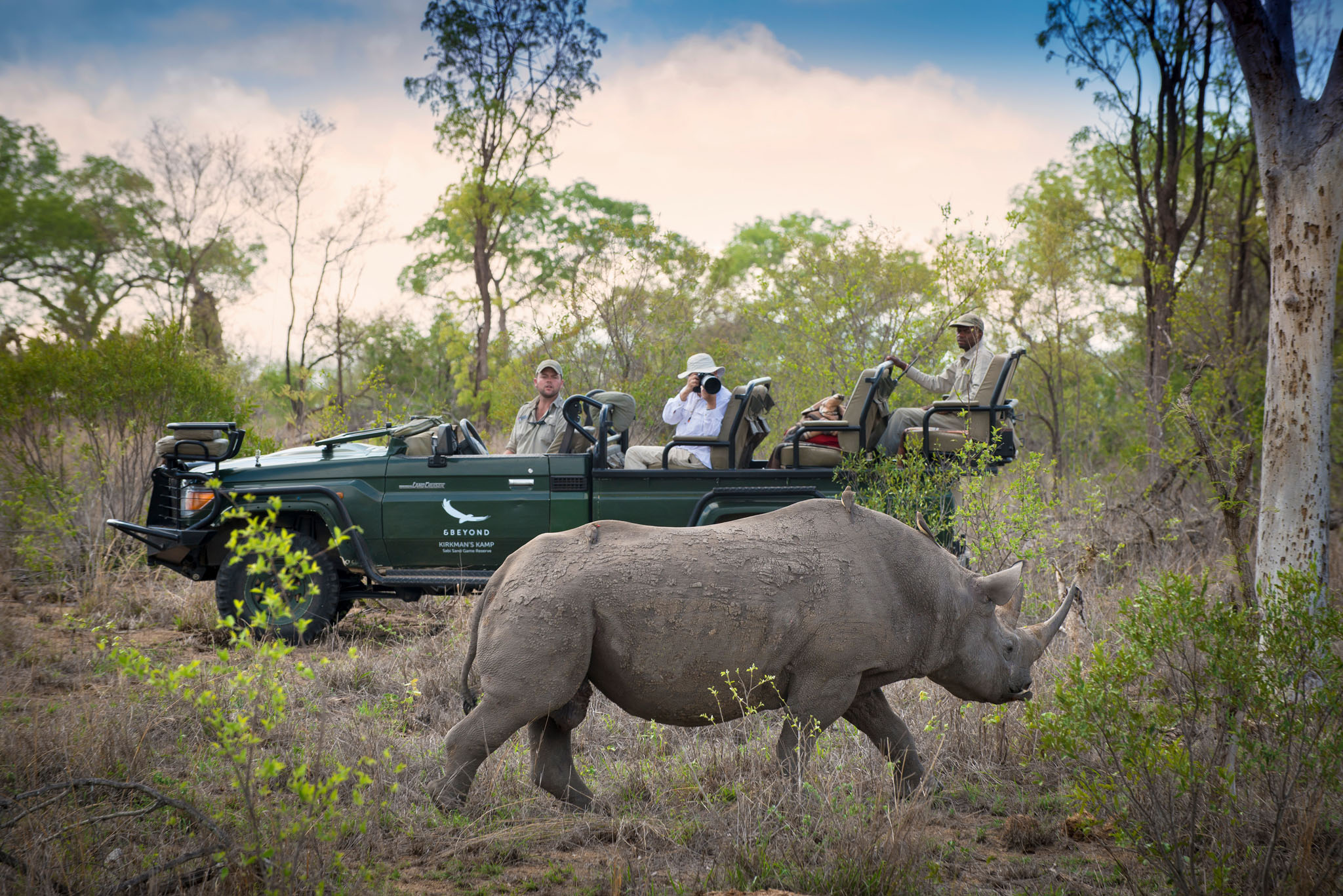 black rhino by safari vehicle at andBeyond tengile river lodge
