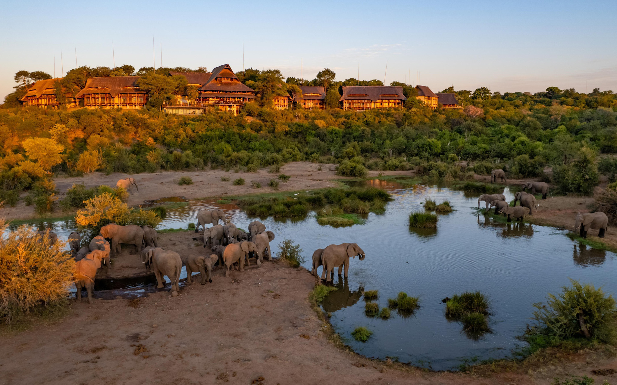 elephant drinking at waterhole by Victoria falls safari lodge