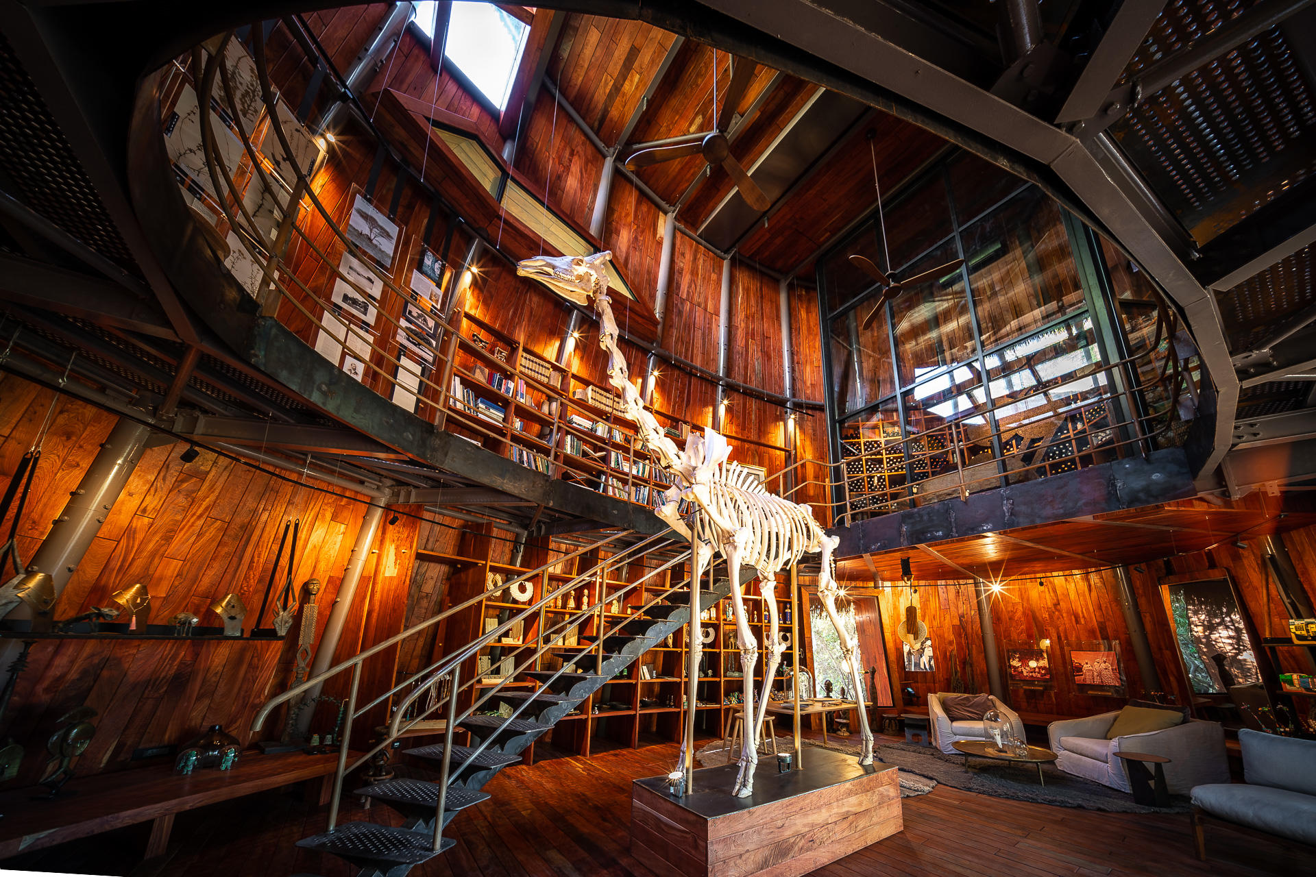 giraffe skeleton in library at Jao Camp Wildereness Botswana