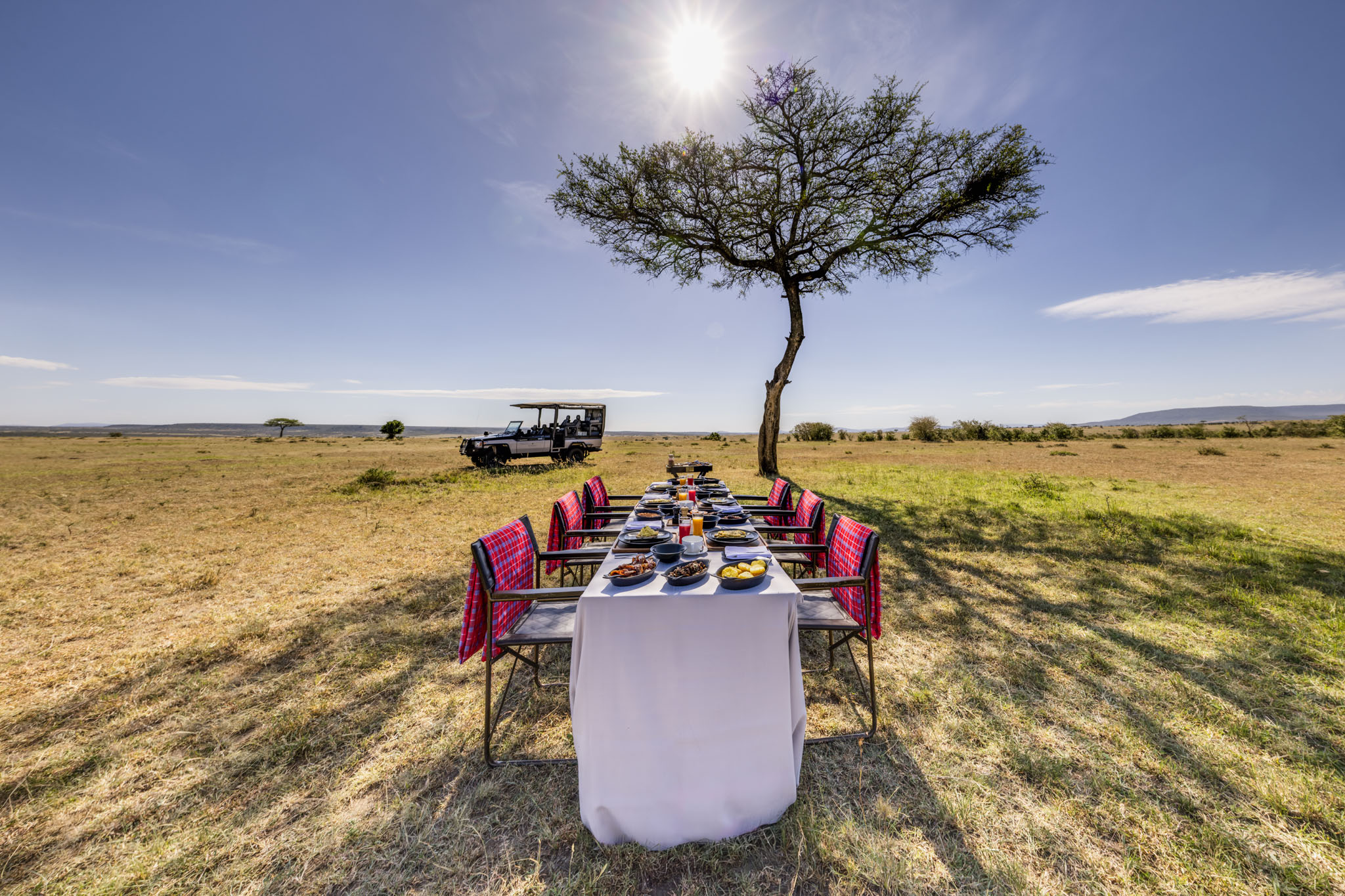 bush breakfast setting under a tree on plains at the JW Marriot Masai Mara Kenya
