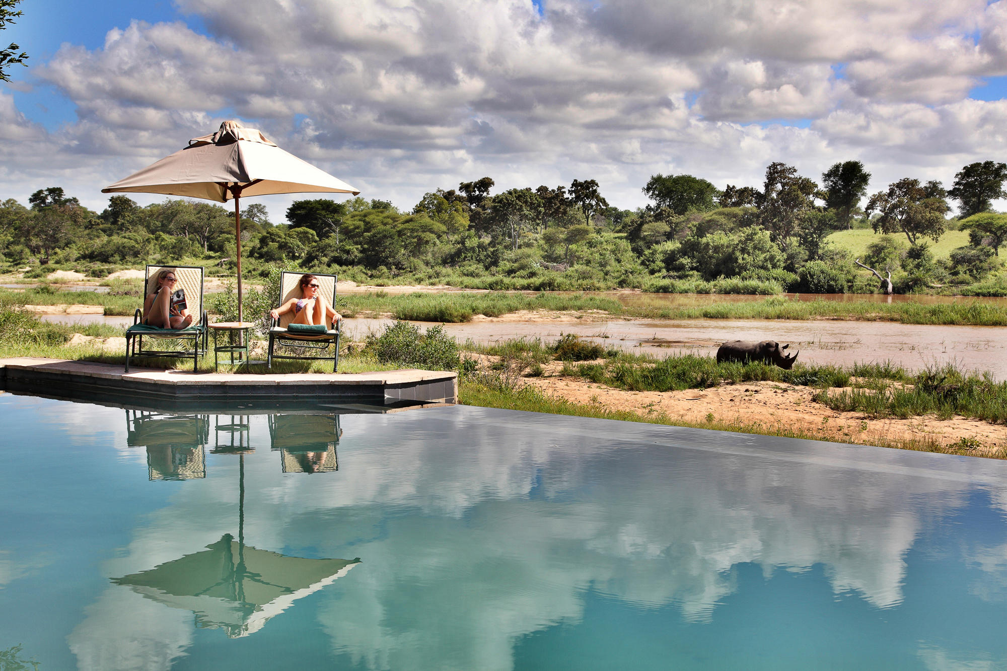 guests at pool on loungers at Malamala game lodge