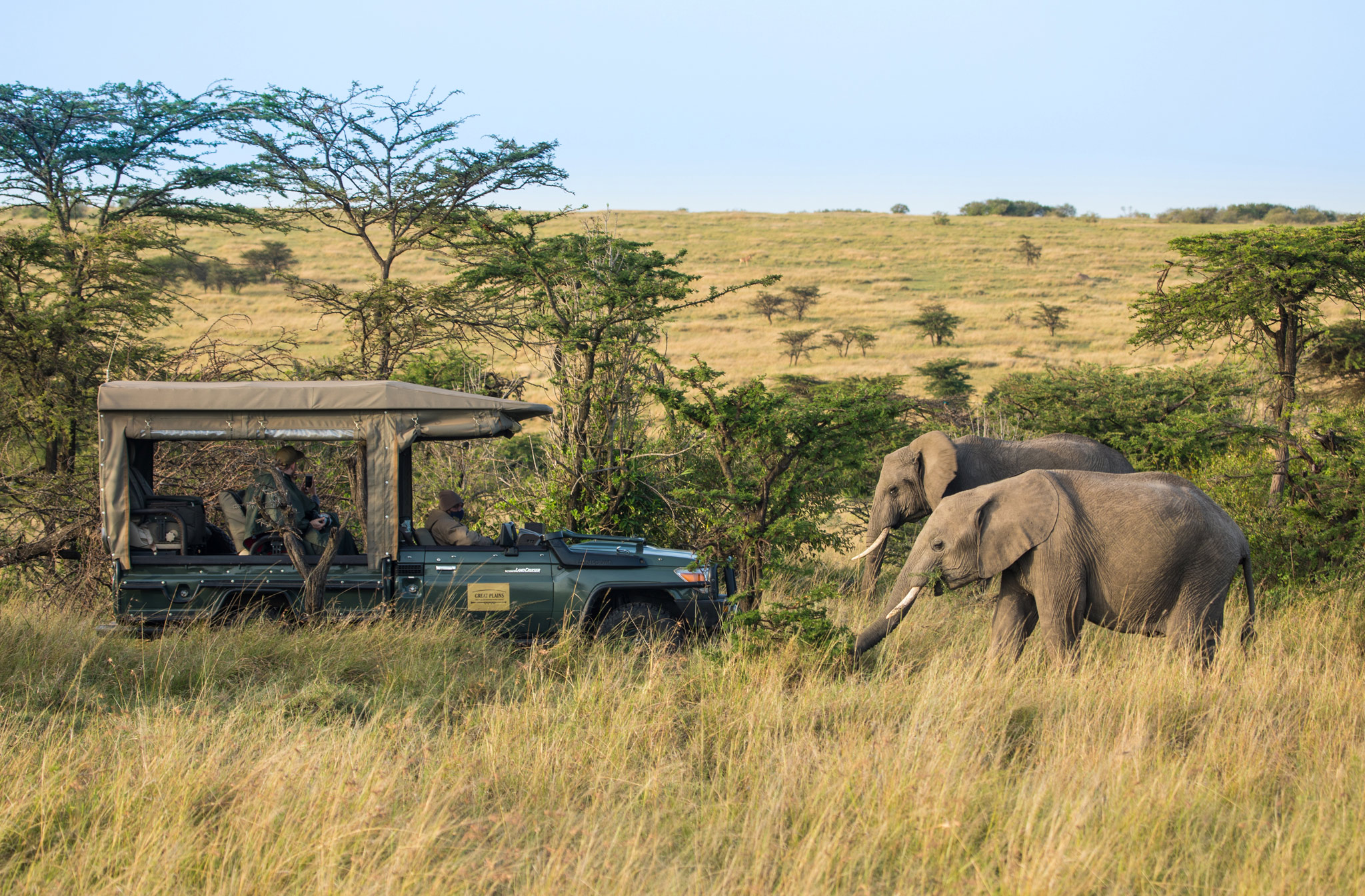elephants on plains close to game drive vehicle of Mara Plains Camp Kenya Masai Mara