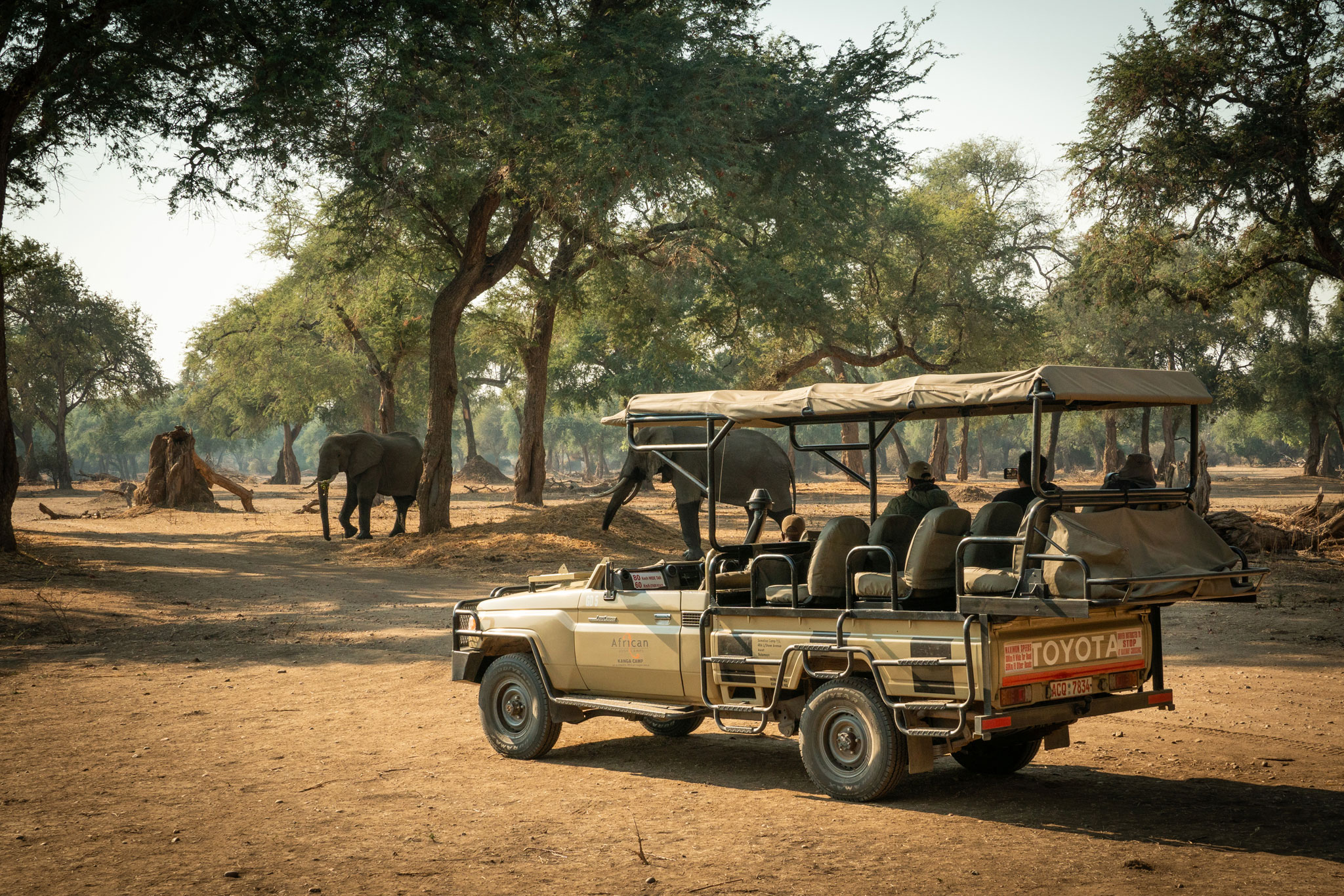 game drive vehicle close to elephants at Nyamatusi Camps Mana Pools Zimbabwe 