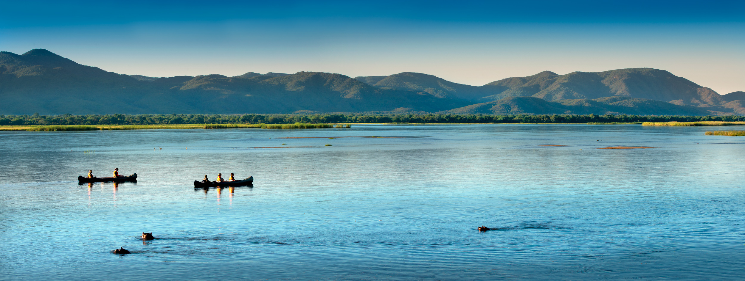 guests on the river in canoes with hippos close by at Nyamatusi camps Mana Pools