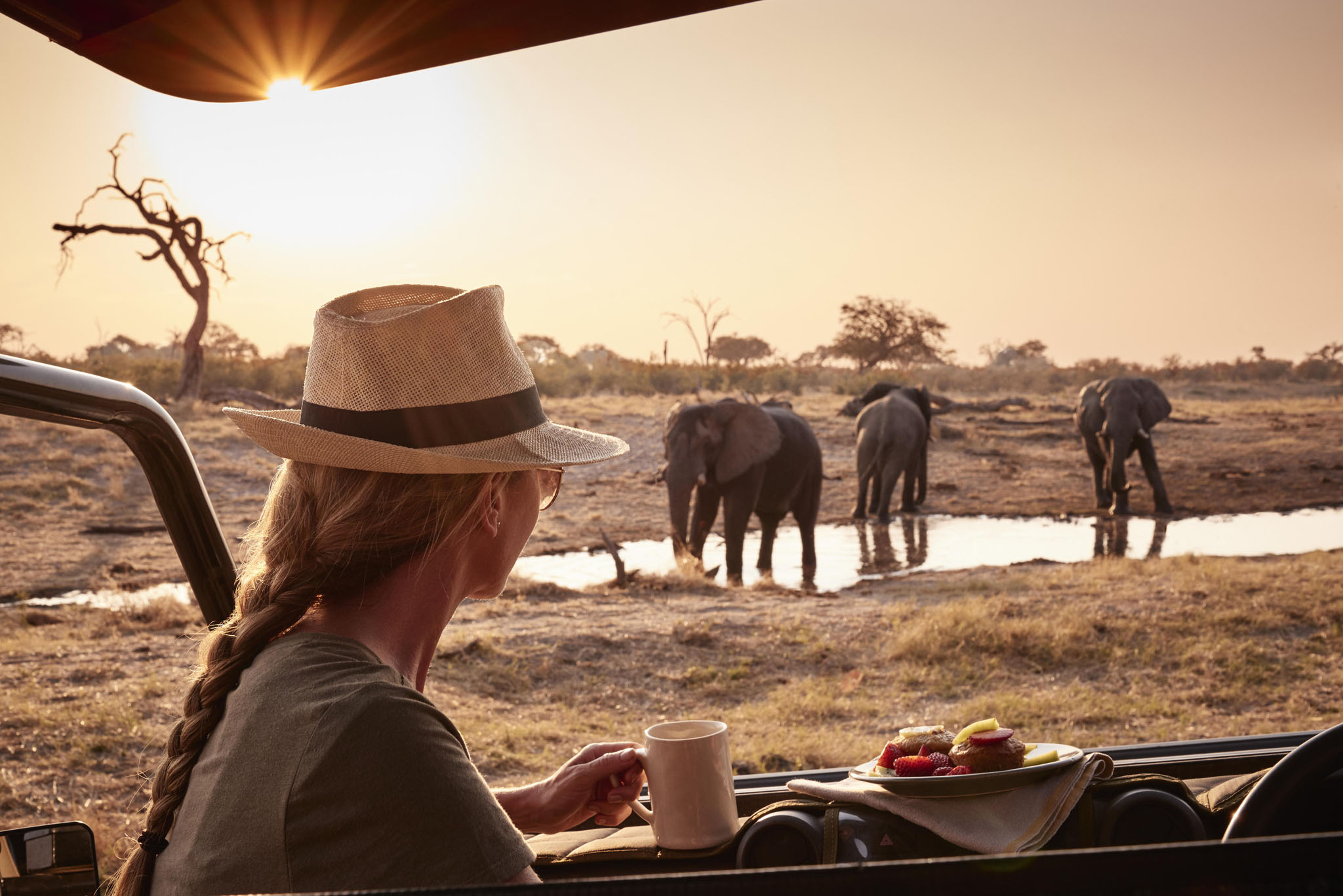 lady uest looking at elephants at waterhole at savute elephant lodge