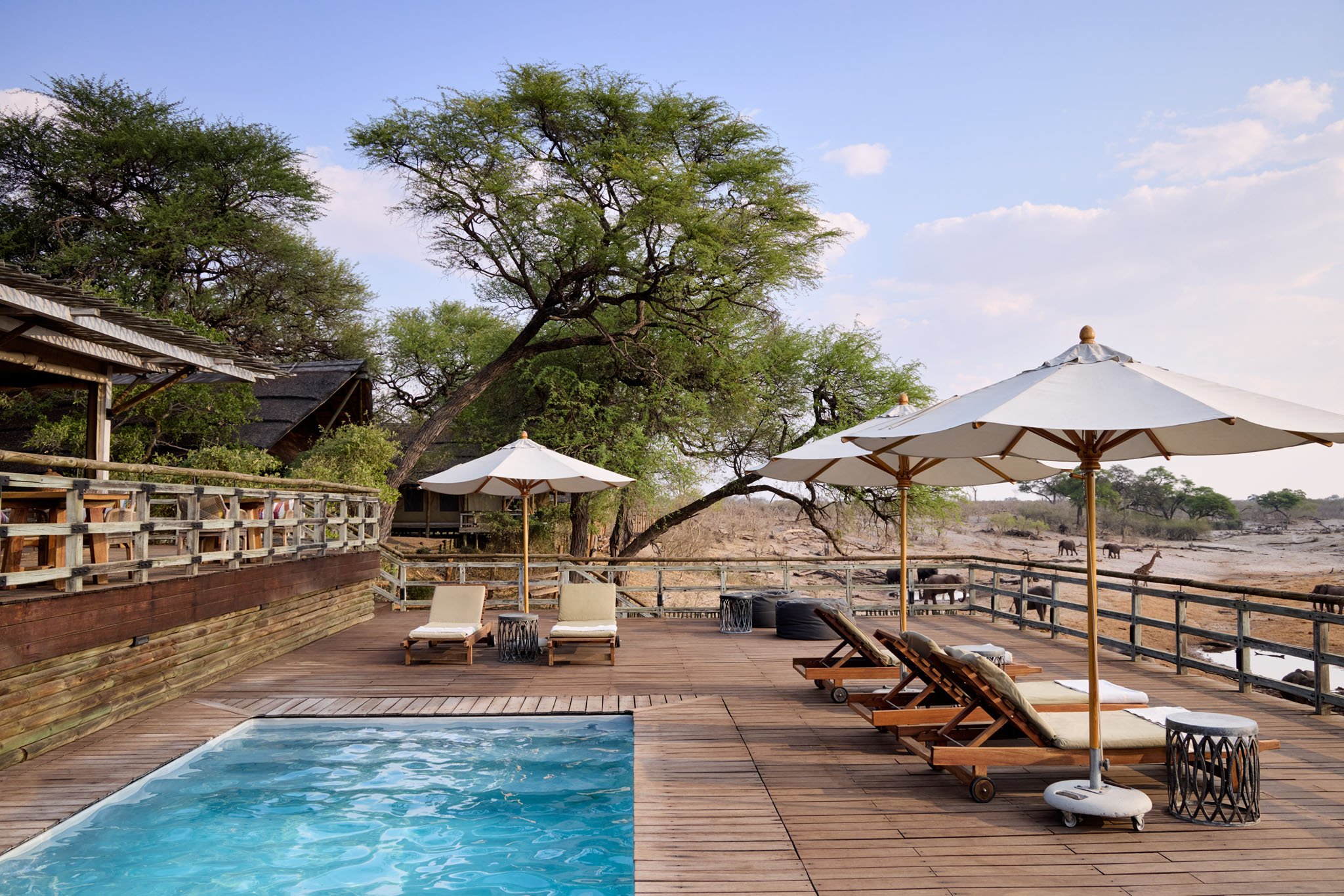 swimming pool and loungers at Savute elephant lodge Belmond