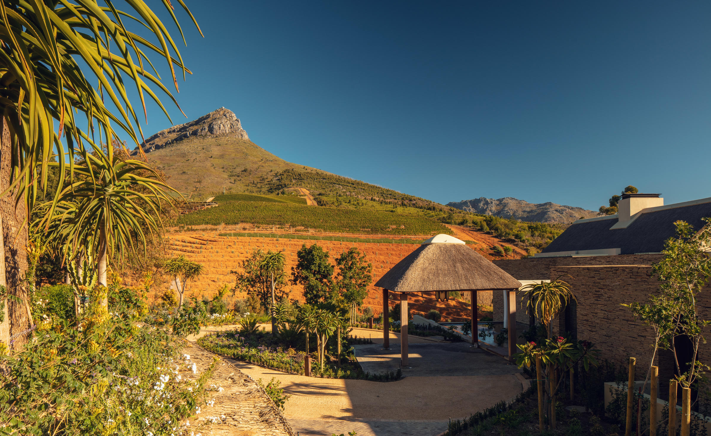 outside area of estate with views of lapa and mountain at Delaire Graff luxury Wine estate in Franshoek
