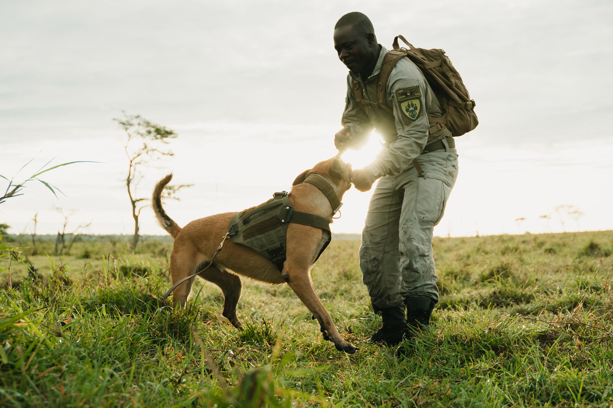anti poaching ranger playing with dog at Singita Sabora Tented Camp Serengeti 