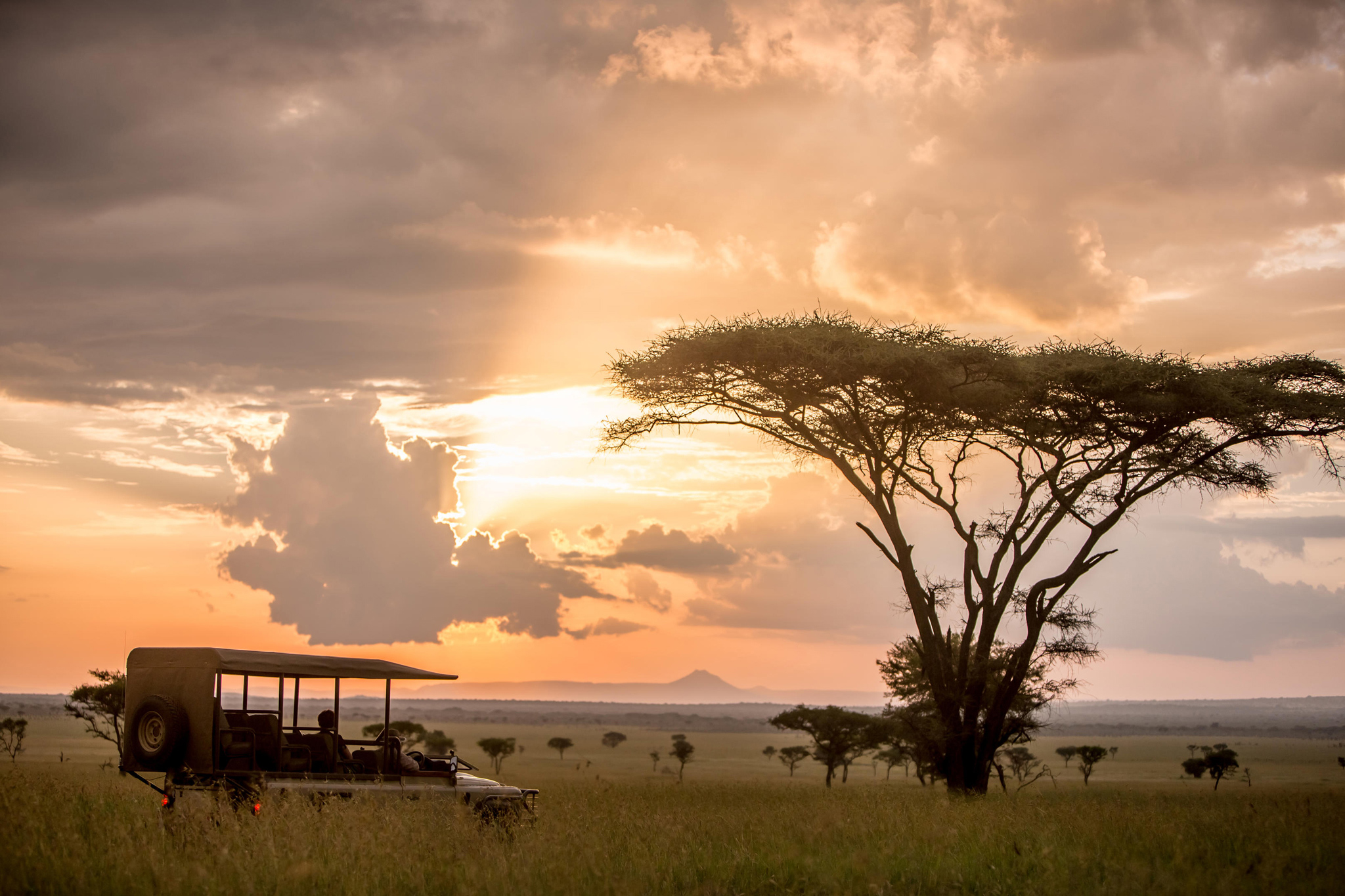 game drive vehicle on plains at sunset by Singita Sabora Tented Camp Serengeti 