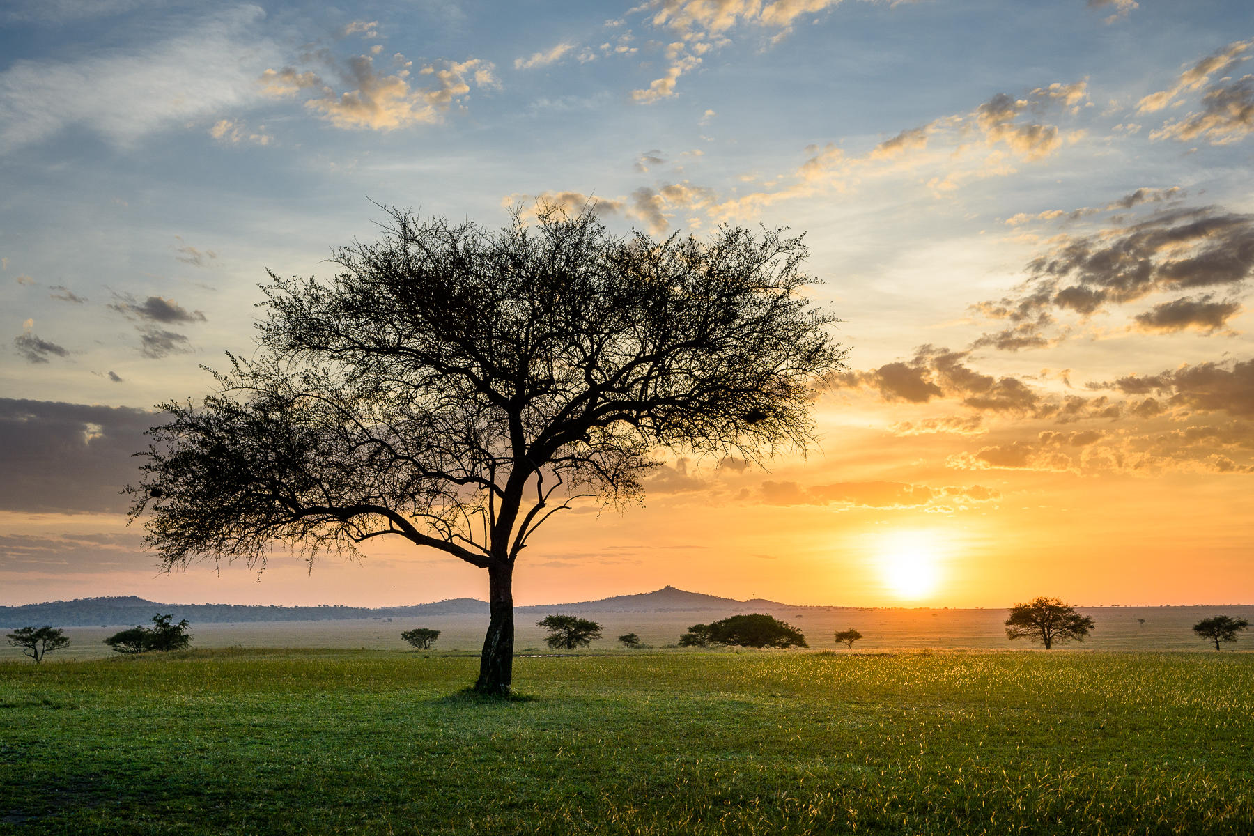 sun rising over the Serengeti landscape by Singita Sabora Tented Camp 