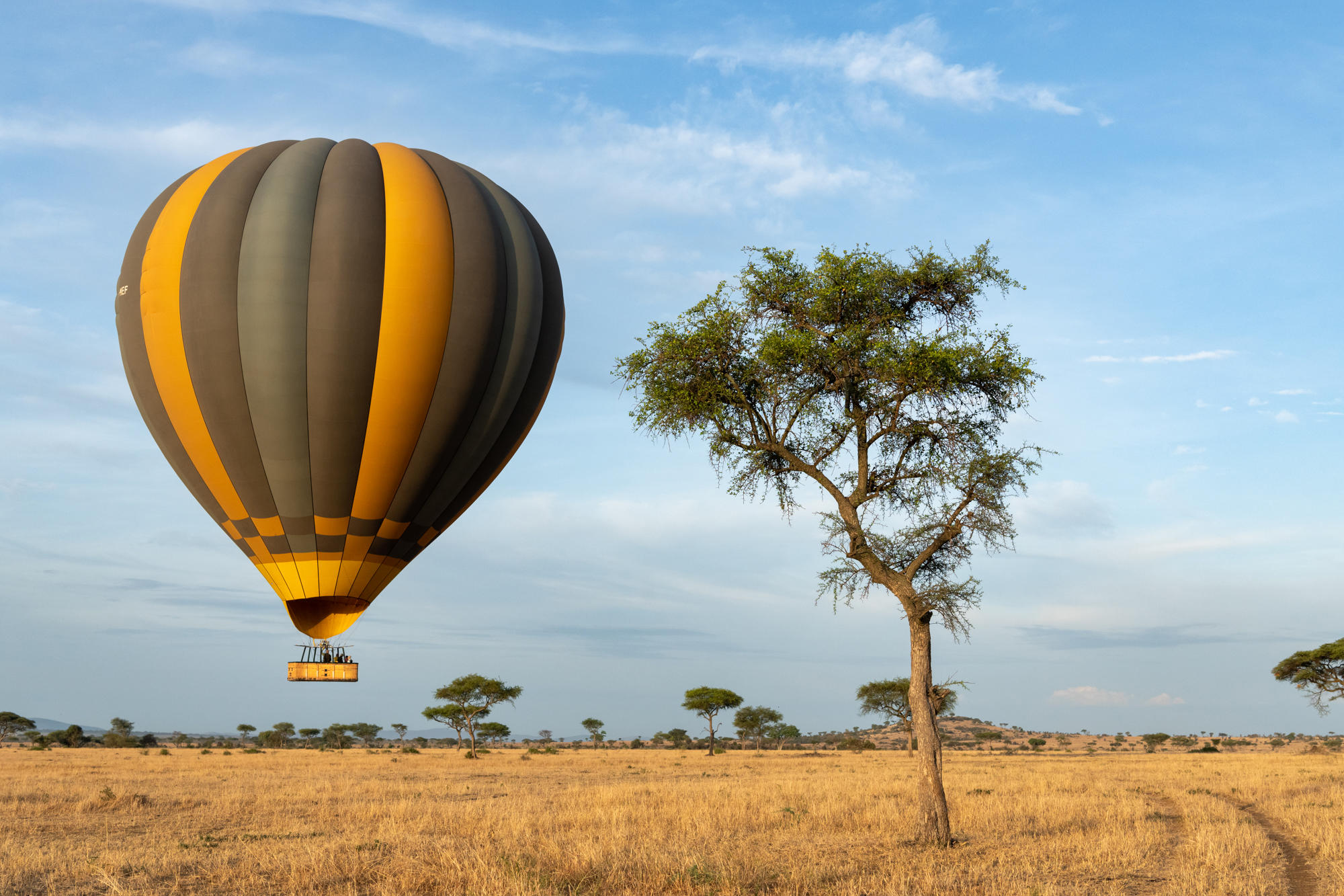 hot air balloon flying over the plains of the Serengeti