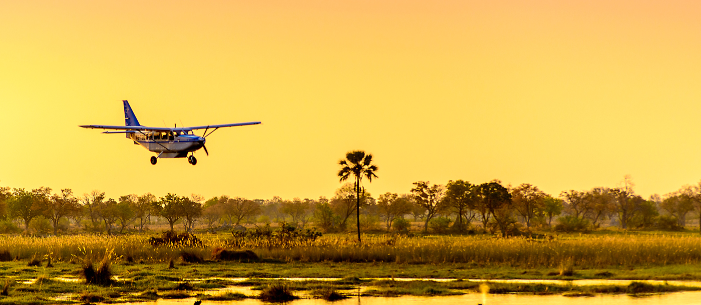 low flying aeroplane on okavango delta in sunny background with palm tree silhouette