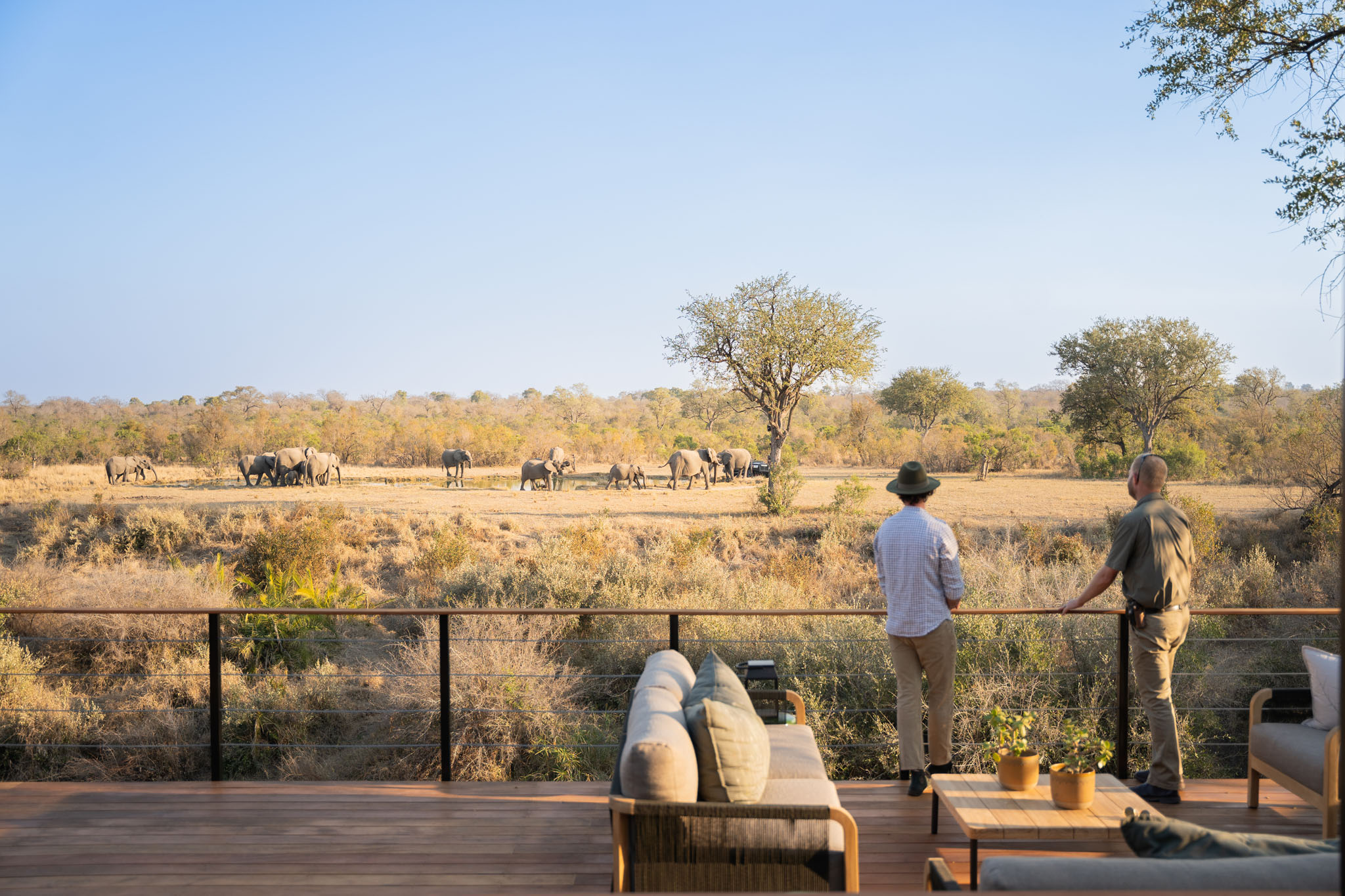 two male guests on deck of simbambili lodge thornybush looking at elephants by watering hole in distance