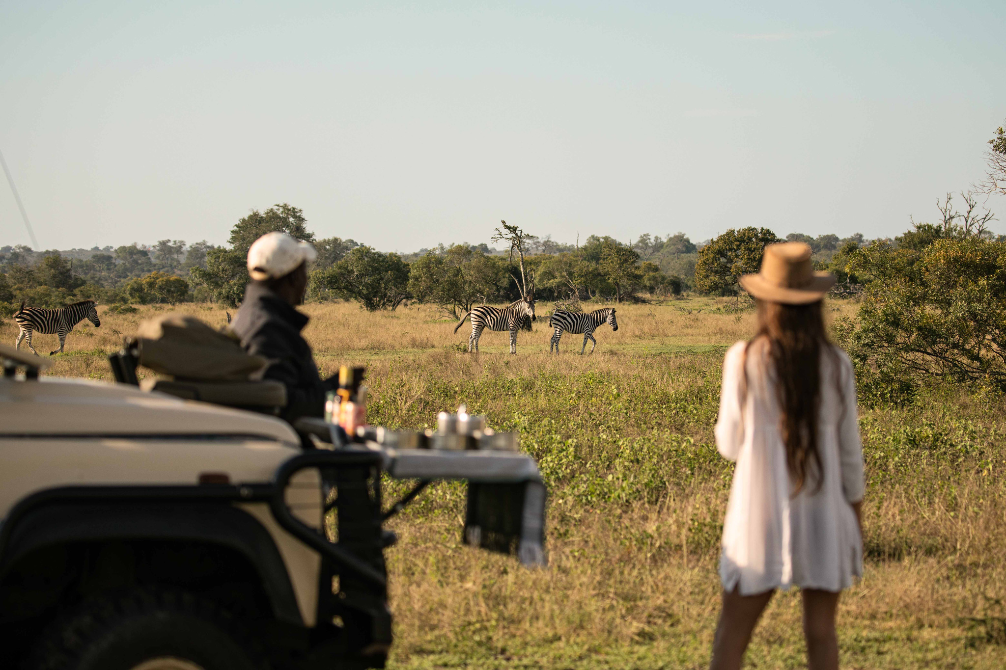 lady guest with guide looking at zebras at ulusaba lodge