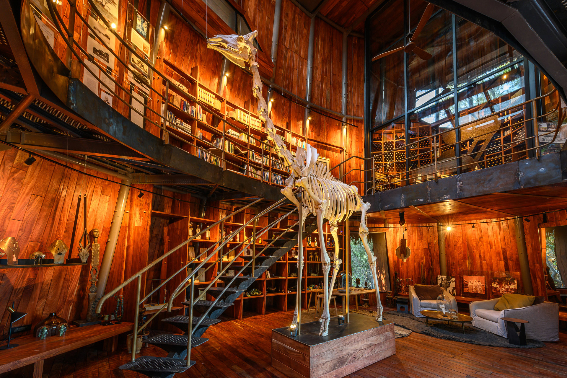 giraffe skeleton in the library of Jao Camp Wilderness Botswana